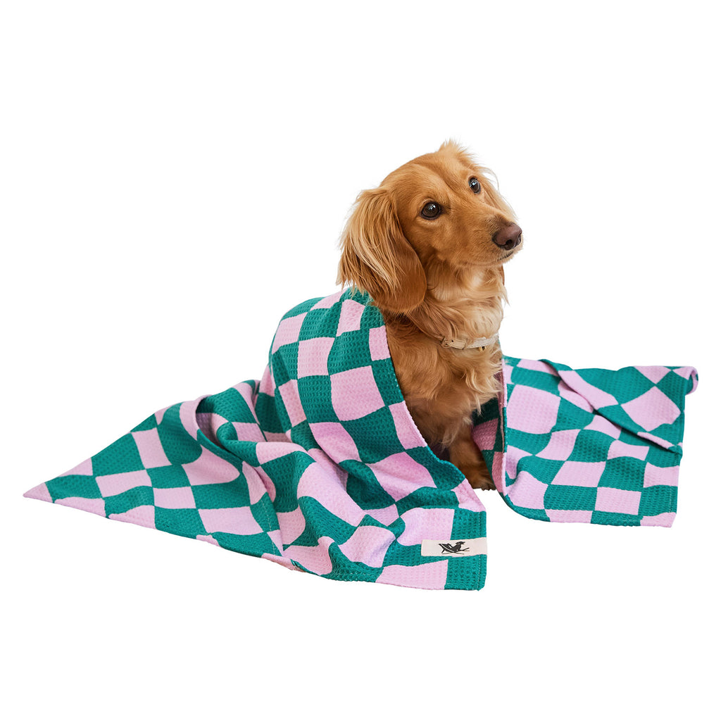 dock and bay towels dog