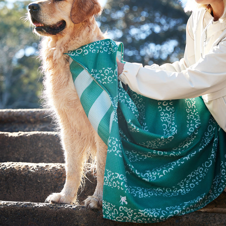dock and bay towels dog