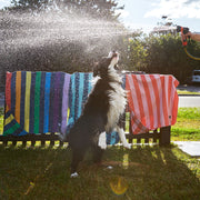 Dock & Bay - Point of Sale Display Small (Dog Towel) - Preorder