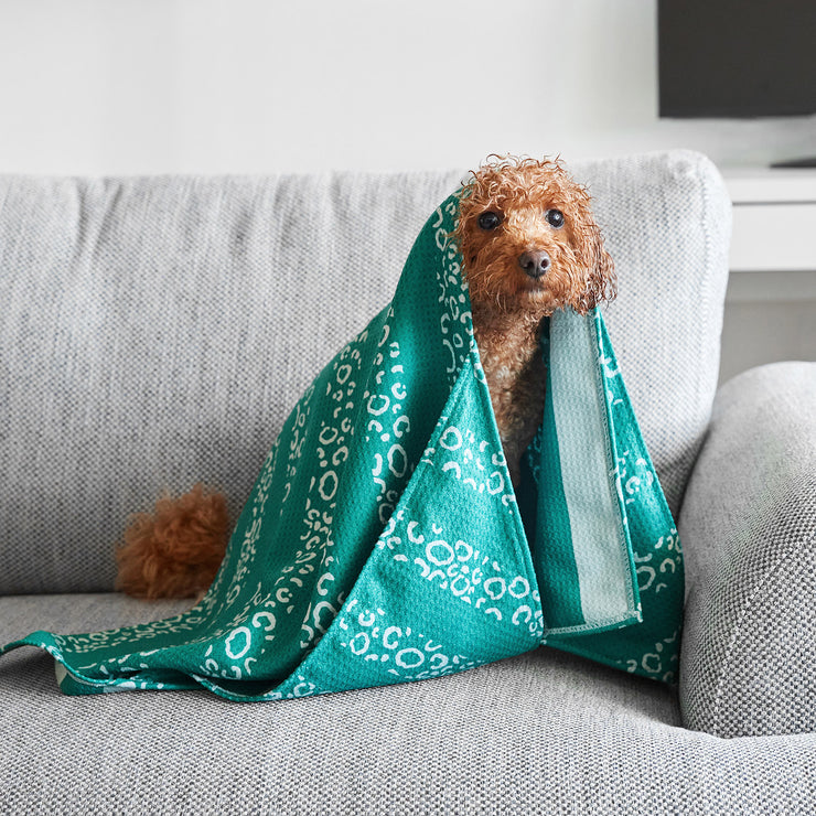 dock and bay towels dog