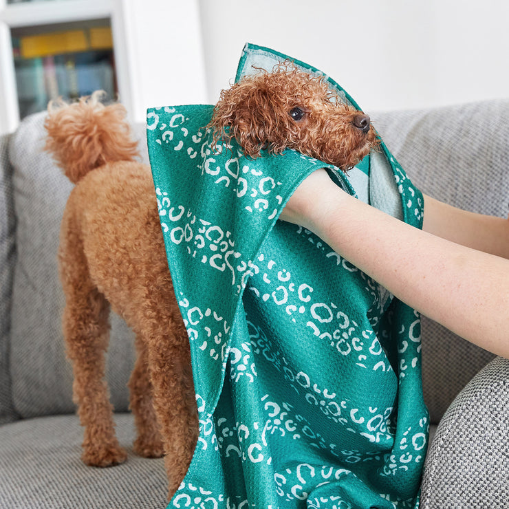 dock and bay towels dog
