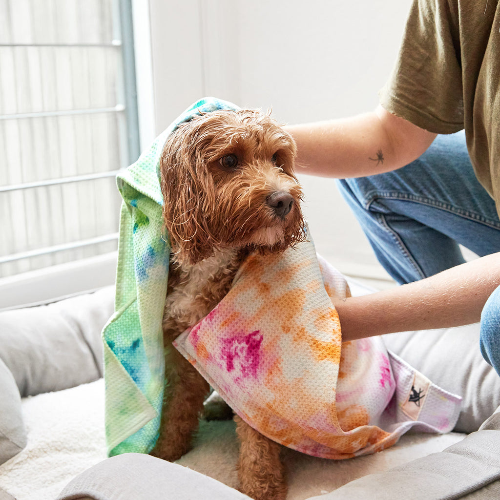 dock and bay towels dog