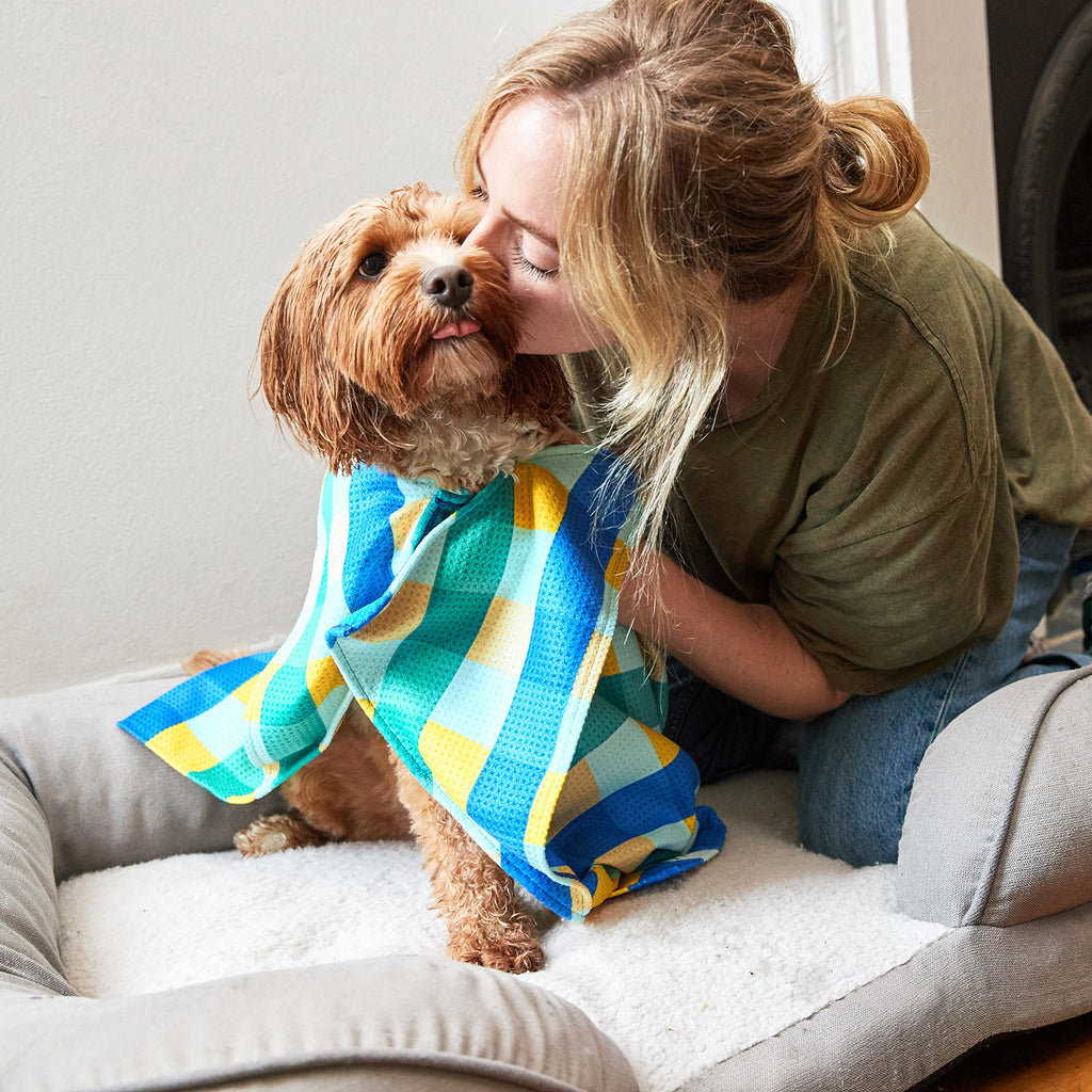 dock and bay towels dog