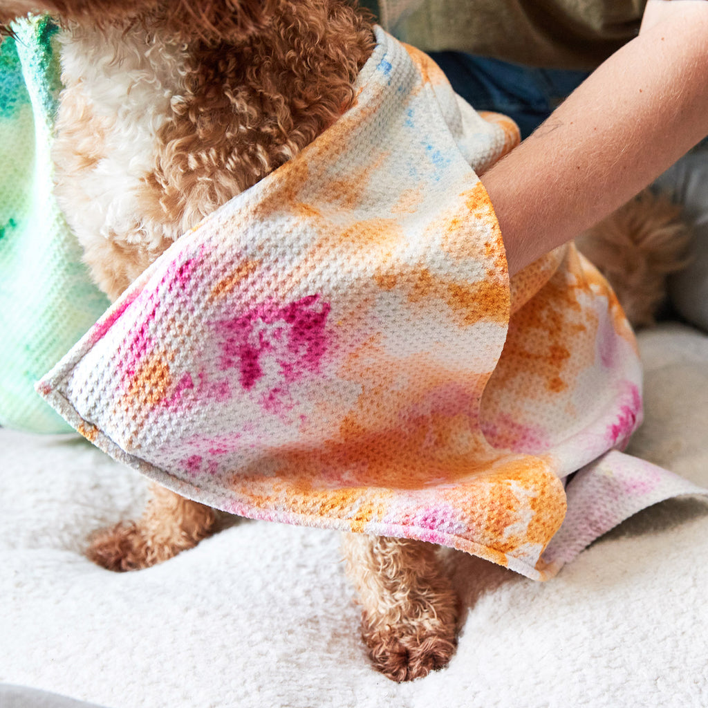 dock and bay towels dog