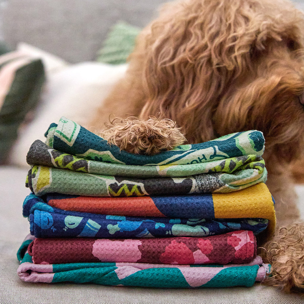 dock and bay towels dog