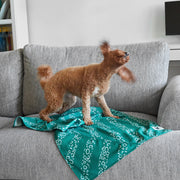 dock and bay towels dog